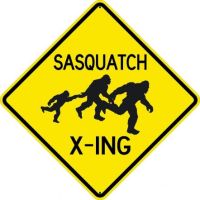 Sasquatch Crossing W10