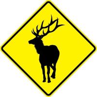 W11-20 Elk Signs