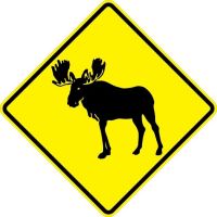 W11-21 Moose Signs