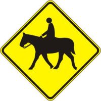 Equestrian / Horse 